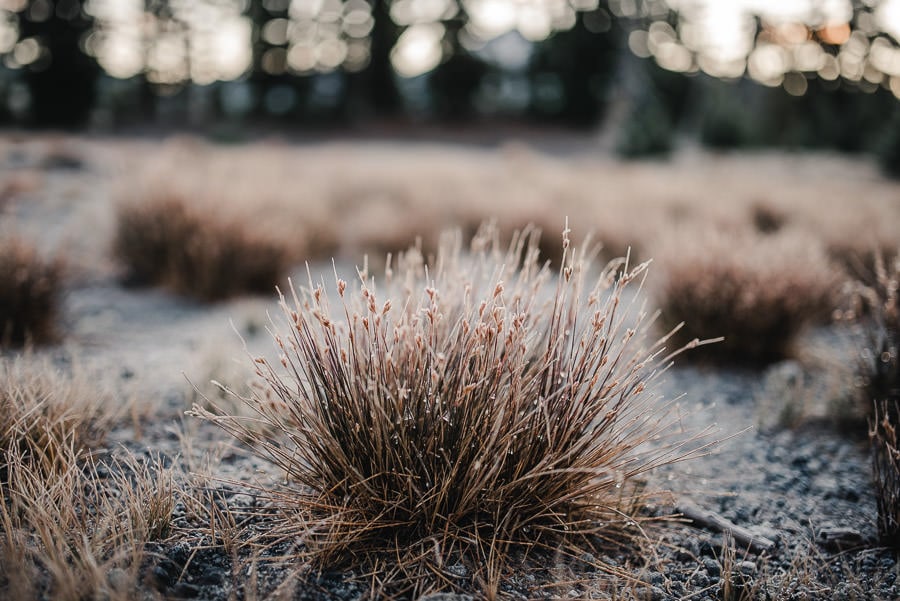 South Sister Adventure Photography 002