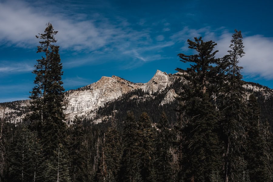Sequoia National Park Moro Rock Wedding 002