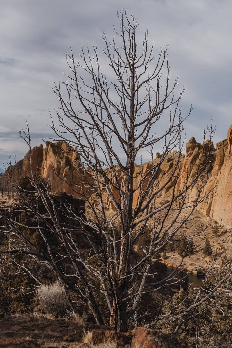 Smith Rock Engagement Photography 005