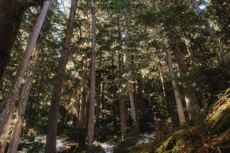 Northern Cascades Washington Adventure Elopement Photography 010