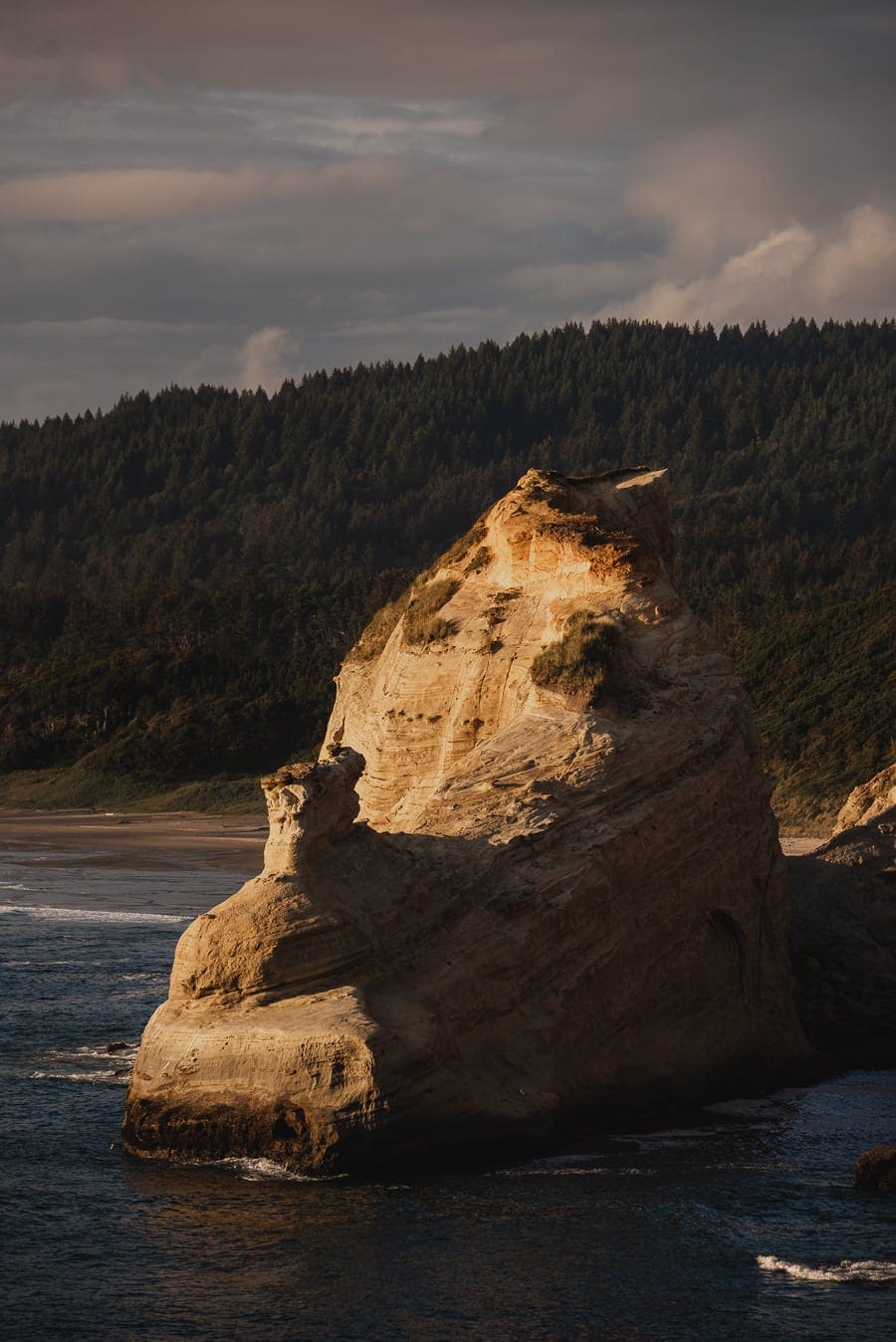 Cape Kiwanda Oregon Coast Wedding Photography 075
