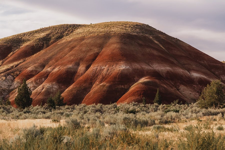 Painted Hills Engagement Session 001