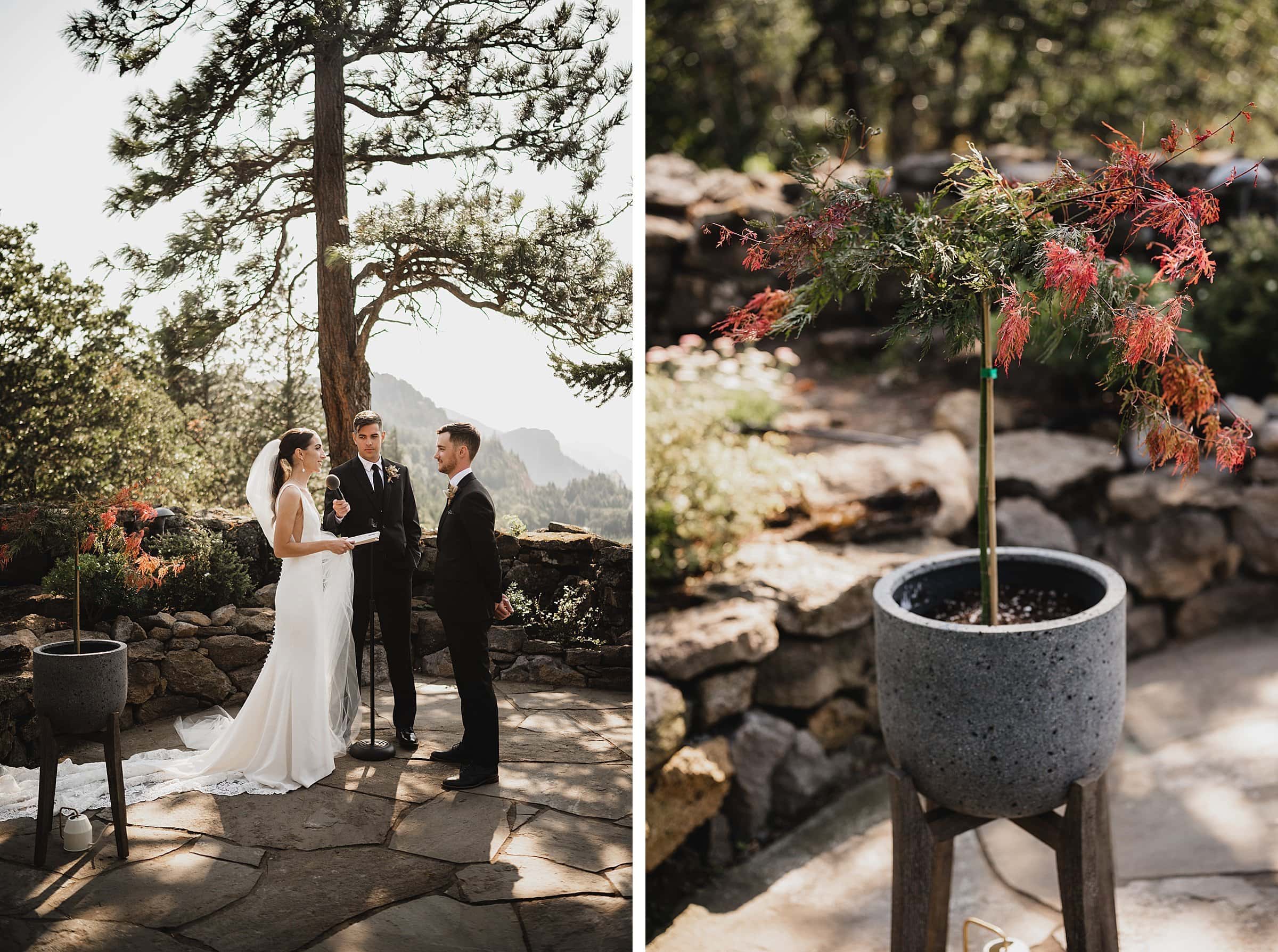 A couple is exchanging vows outdoors under a tree, with a focus on a potted plant nearby. This serene moment beautifully showcases wedding photos at The Griffin House.