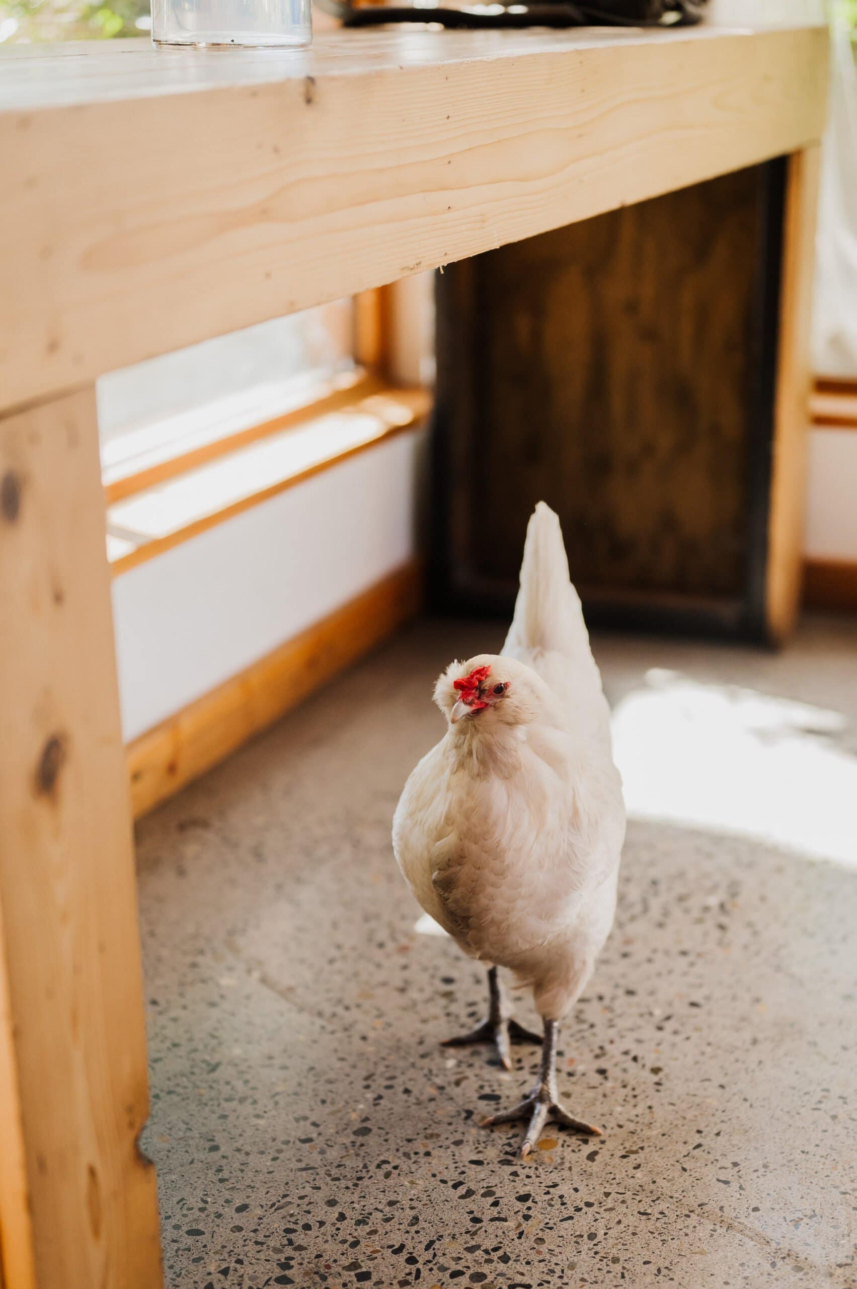 Intimate Blockhouse Wedding Photos