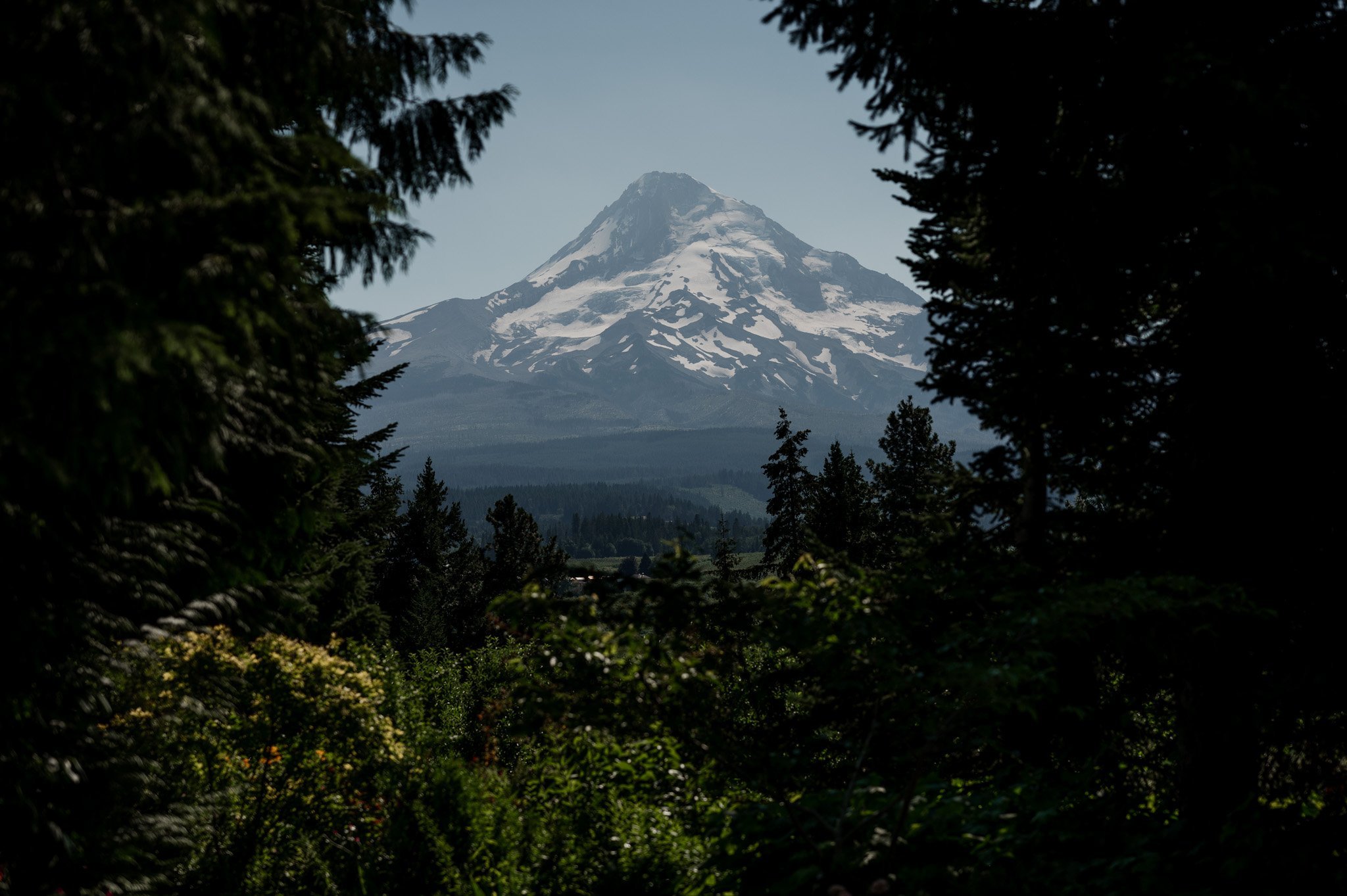 Mt Hood Organic Farms Wedding Photography