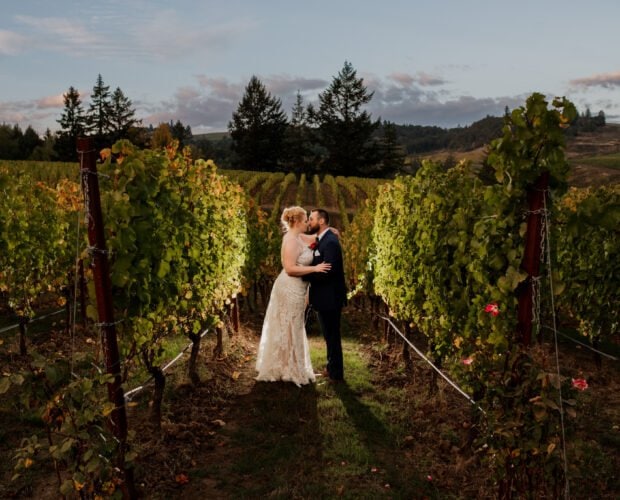 Beautiful Zenith Vineyard Wedding