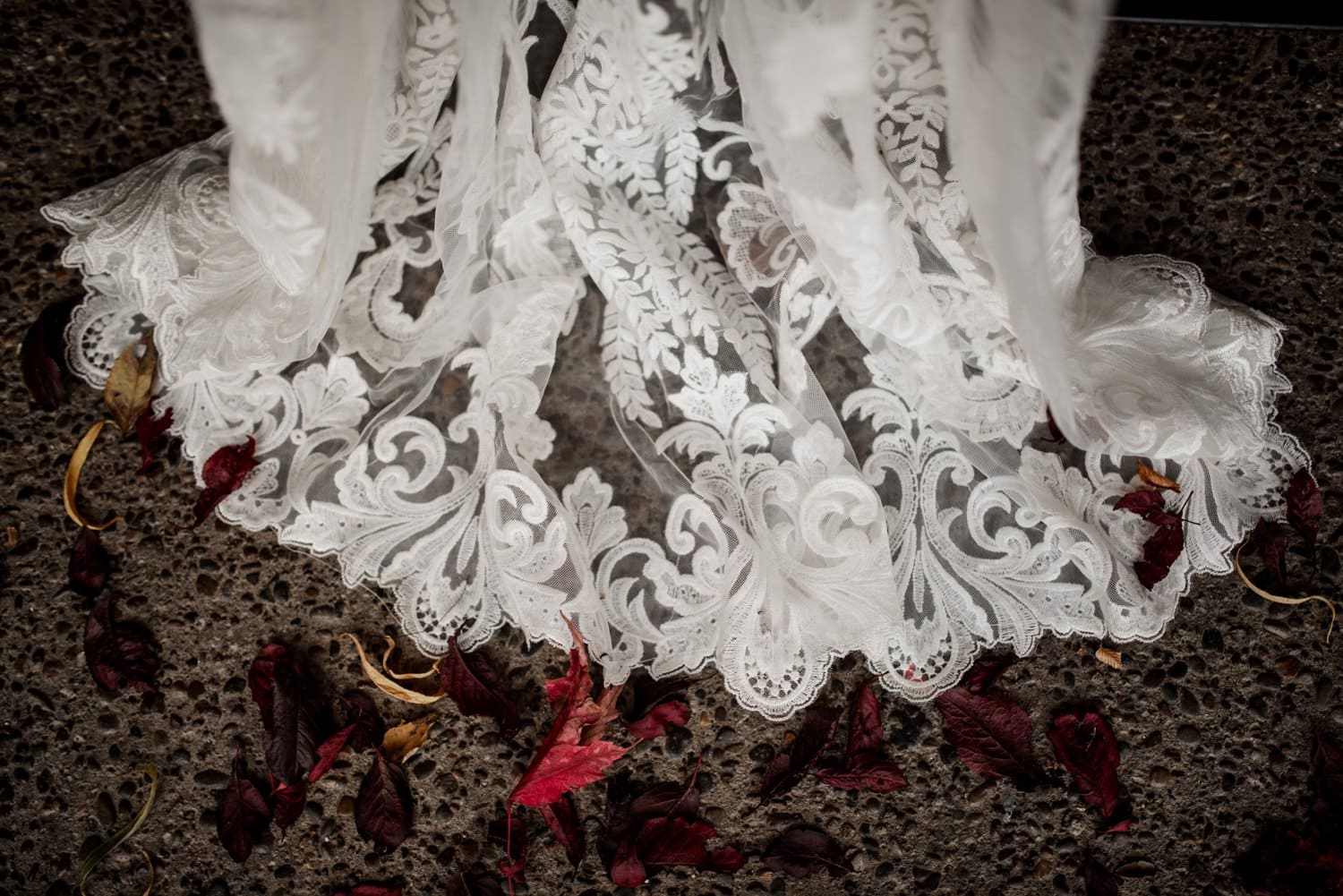 Beautiful Zenith Vineyard Wedding
