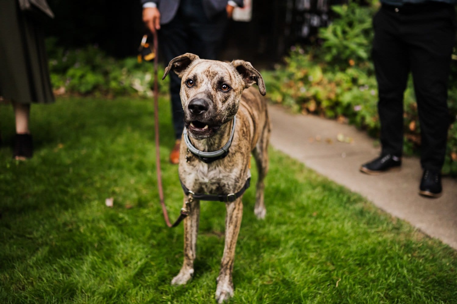McMenamins Grand Lodge Wedding Photography