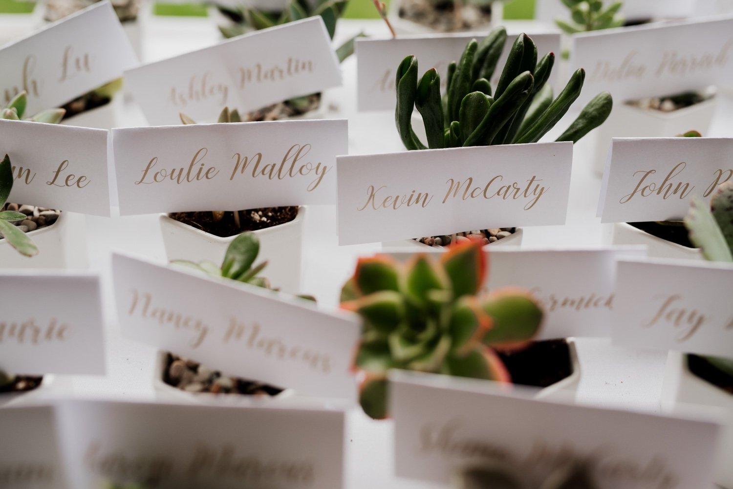 Gorgeous Abernethy Center Wedding Photography