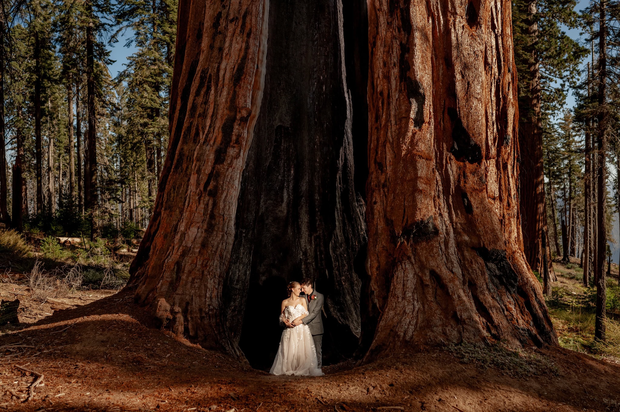 A bride and groom stand inside the hollow of a massive sequoia tree, surrounded by the lush forest of Sequoia National Park, captured by Portland, Oregon wedding and elopement photographer Kyle Carnes.