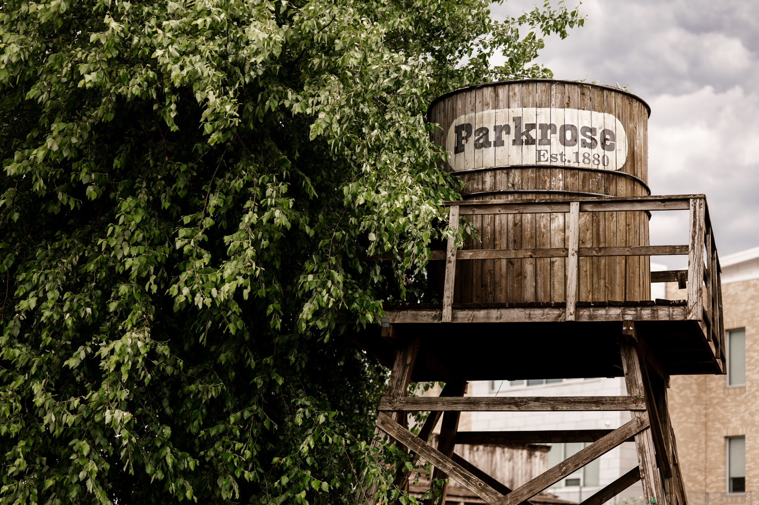 A wooden water tower labeled Parkrose Est. 1889 stands beside a leafy tree and a building, creating an attractive setting for wedding photos at Rossi Farms.