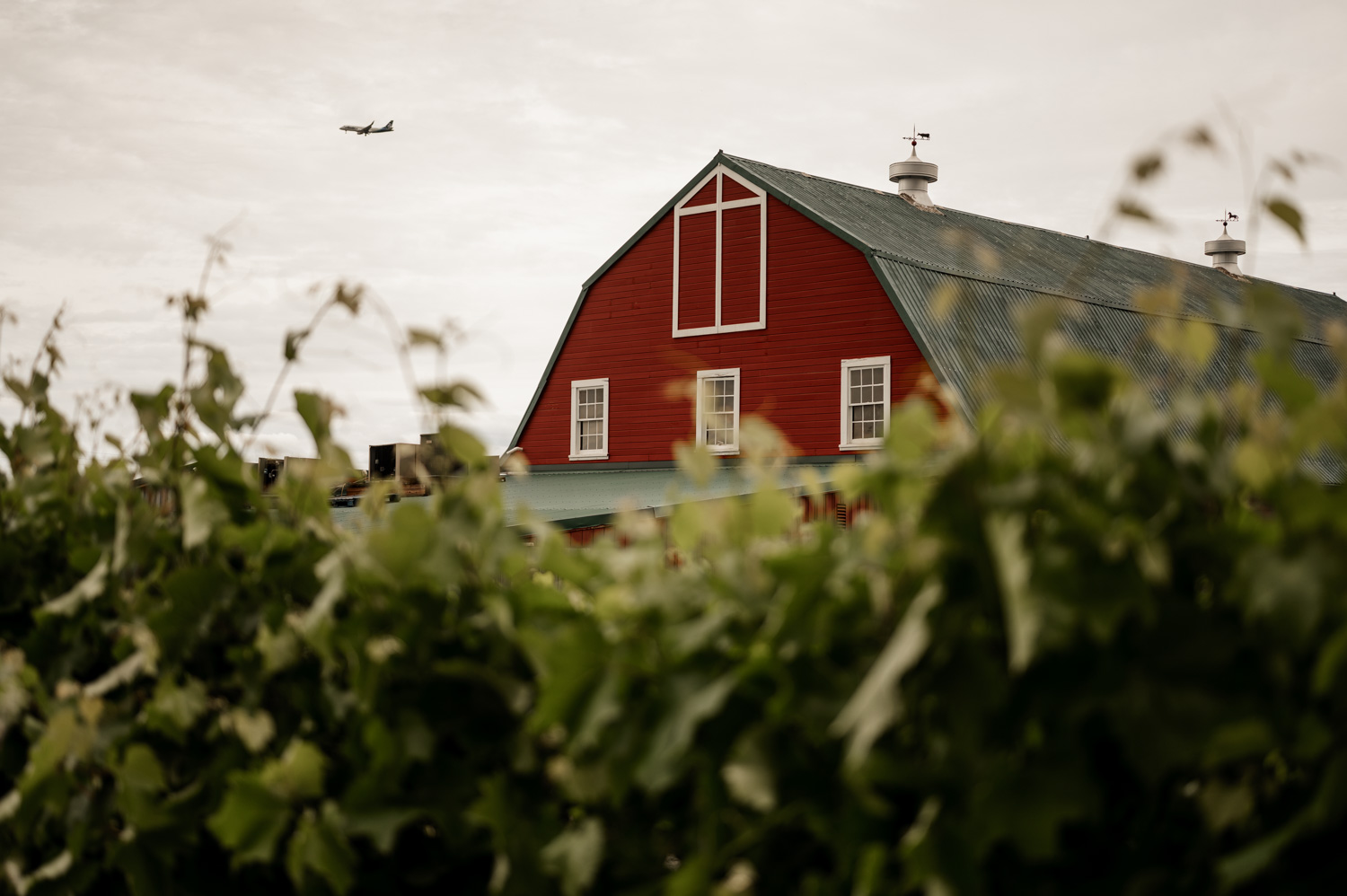 Wedding photos at Rossi Farms showcase a picturesque red barn surrounded by lush green leaves, with an airplane elegantly flying across the cloudy sky above.