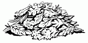 Leaf Cleanup Tracy Ca