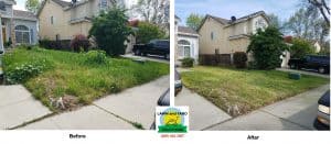 Lawn Mowing and Yard Care Before and After.