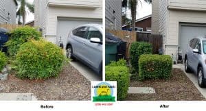 Before and after yard cleanup showing improved landscaping in Tracy, CA.