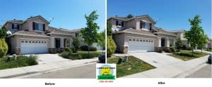 Yard cleanup and lawn mowing Tracy CA