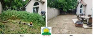 Yard cleared of weeds and overgrowth in Tracy, CA.