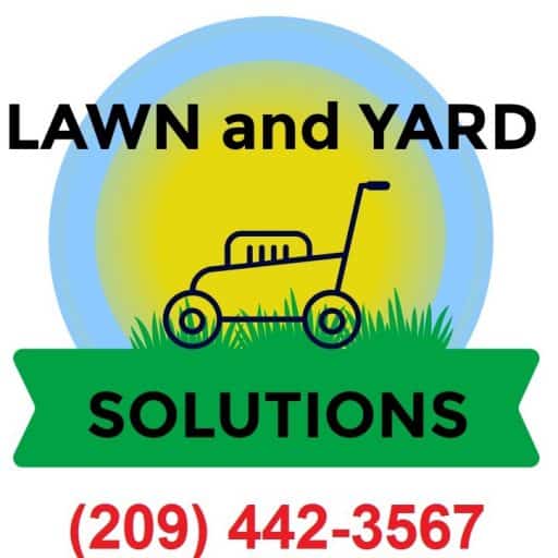 "Lawn