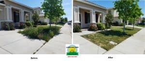 Lawn and yard care before and after transformation in Tracy, CA. Expert landscaping and lawn service.