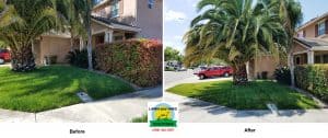Lawn mowing and yard cleanup before and after images in Tracy, CA.