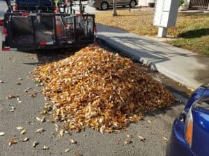Leaf debris pile after yard cleanup in Tracy, CA.