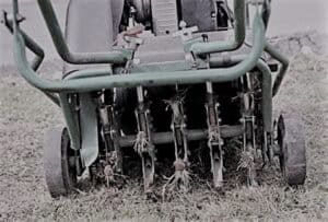 Lawn mower with multiple blades for precise yard trimming.