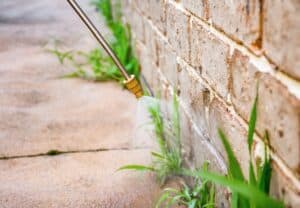 Healthy weed removal and control services in Tracy, CA.