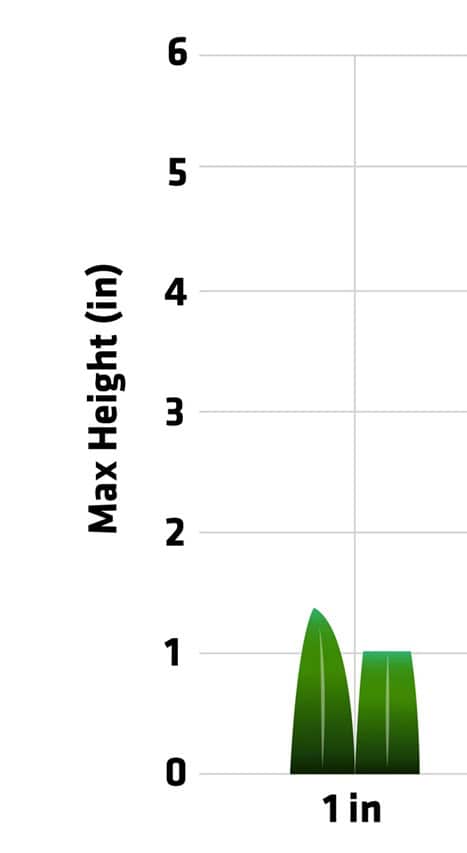 Cutting height for 1-inch grass