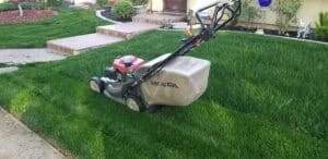 Lawn mower on a lush green lawn in a residential yard with steps and garden decor.