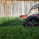 Mowing grass on overgrown Bi-weekly cut lawn