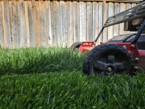 Mowing grass on overgrown Bi-weekly cut lawn