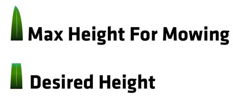 Illustration of maximum and minimum grass heights for lawn care