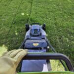 Mowing green lawn