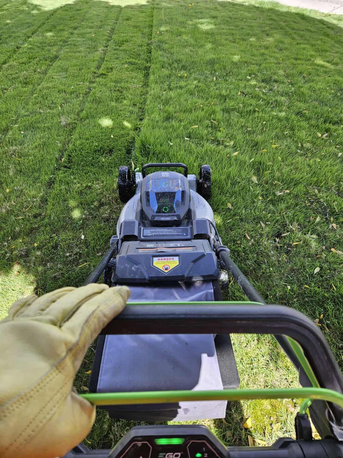 Mowing green lawn