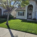 Well maintained lawn