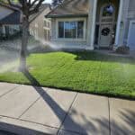 Making sure lawn is watering properly and