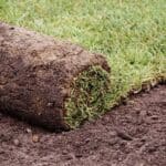 A roll of new sod partly unrolled over bare prepared soil, next to laid turf