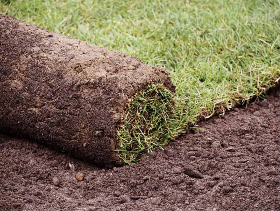A roll of new sod partly unrolled over bare prepared soil, next to laid turf