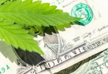 Financial Growth The Power of Cannabis Loans for Entrepreneurs in the Growing Industry