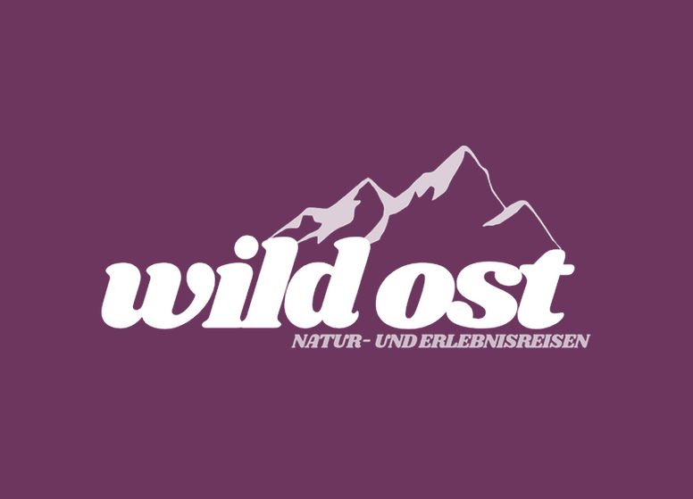 Wildost Logo