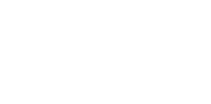 Michael Kretschmer neu