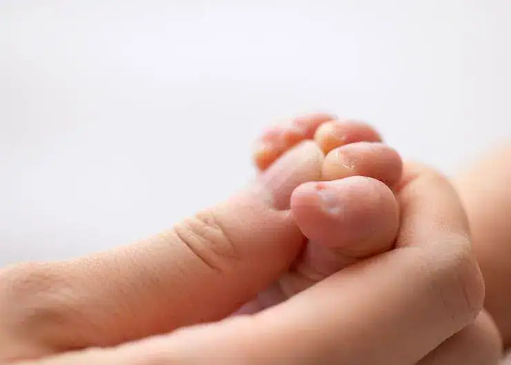 Edmonton newborn macro photoshoot