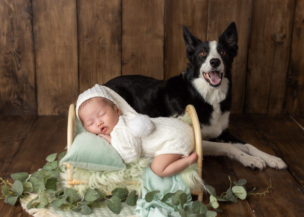 newborn baby photo with dog