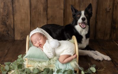 25 Adorable Newborn Photography Ideas for Parents