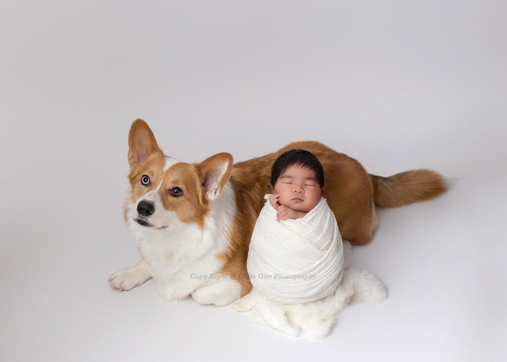 newborn photoshoot with dog in Edmonton