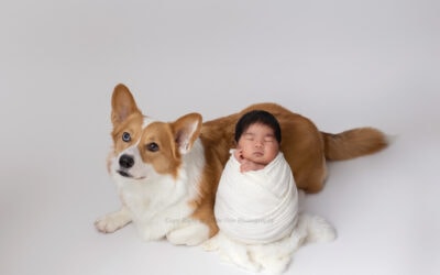 Newborn Photography with Pets in Edmonton: What Parents Should Know