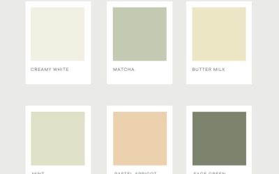 How to coordinate outfits colour for outdoor family photoshoot