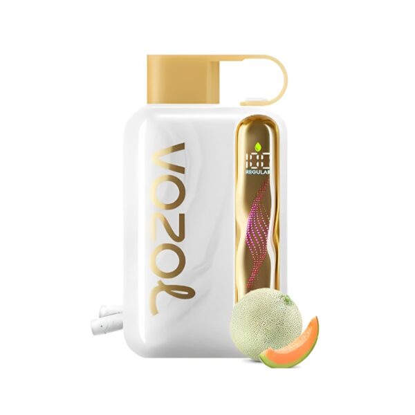 Vozol Star 40000 Melon Gum