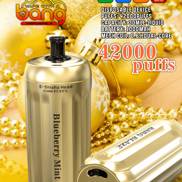 Bang Blaze 42000 Blueberry Mint