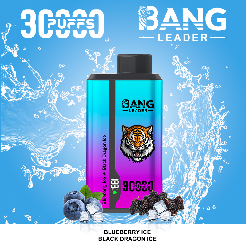 Bang Leader 30000 Watermelon Ice/Blueberry Mint – Bild 4